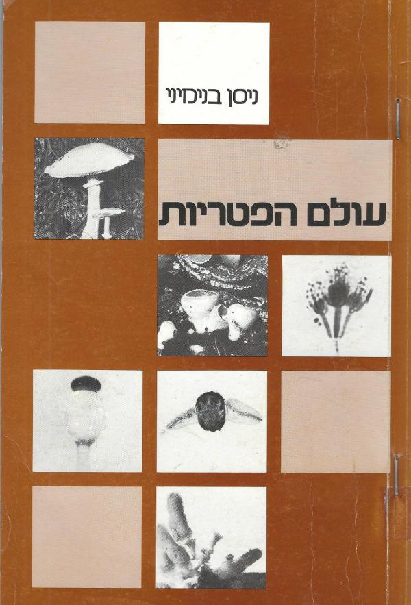 עולם הפטריות