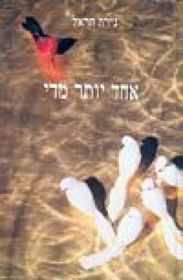 אחד יותר מדי