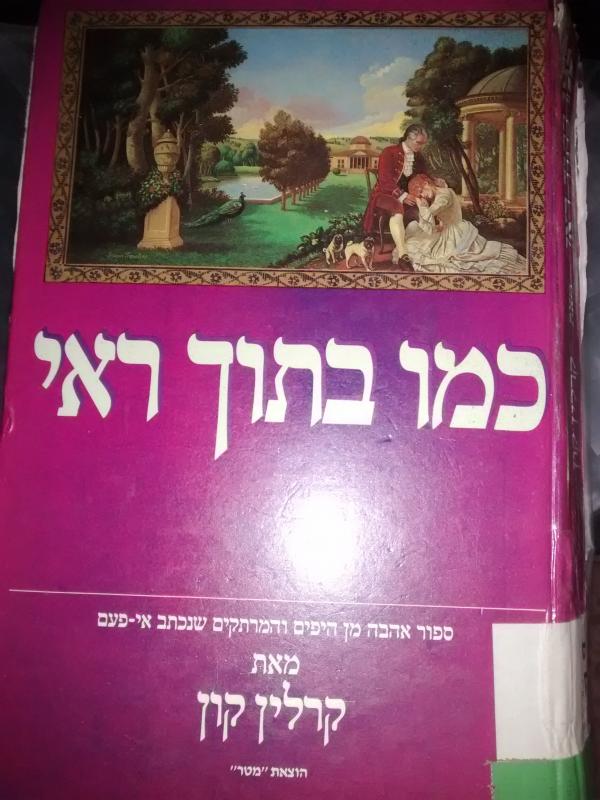 כמו בתוך ראי