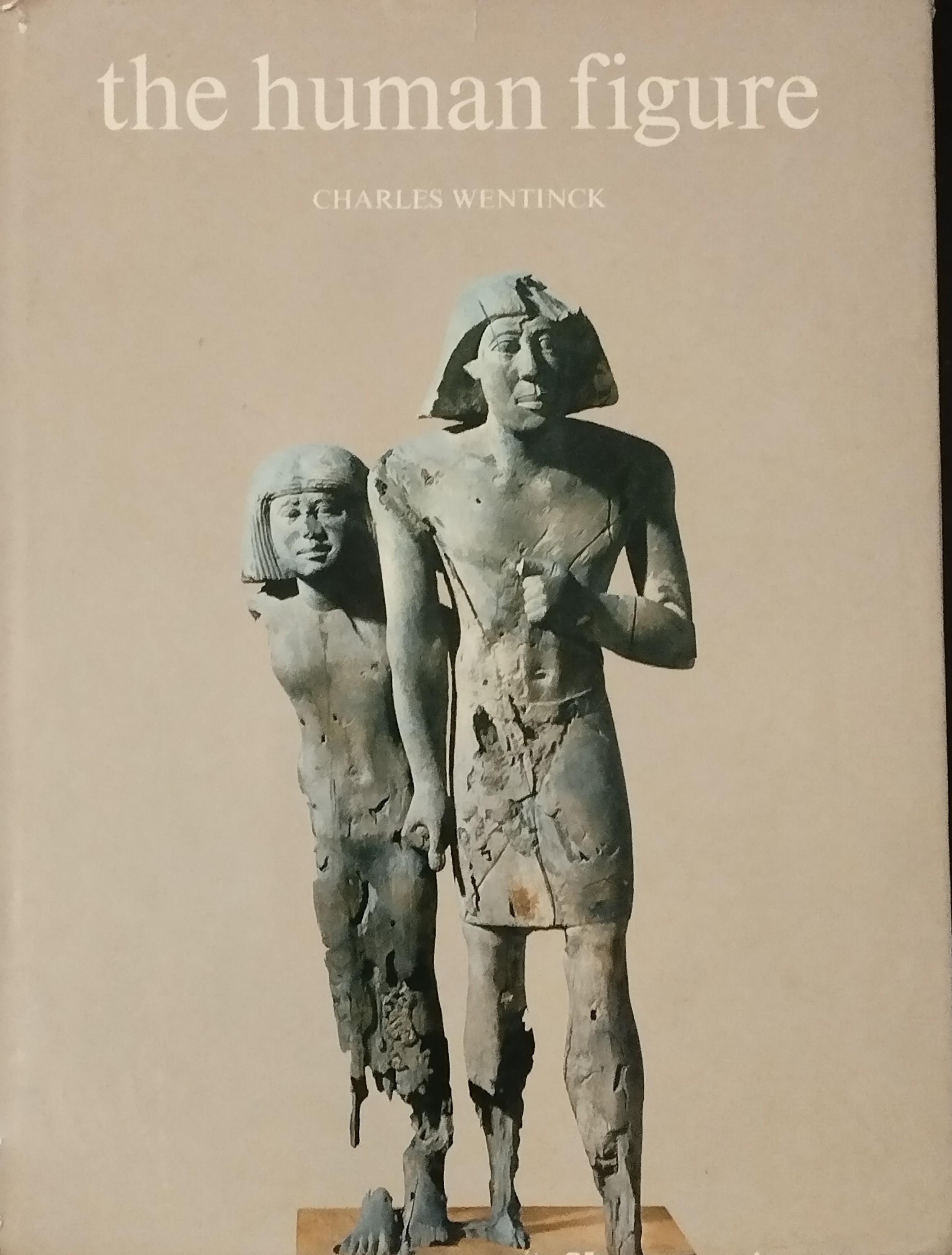  the human figure