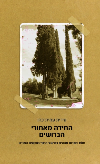 החידה מאחורי הברושים