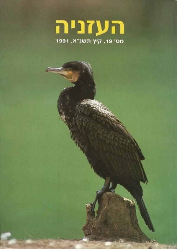 העזניה