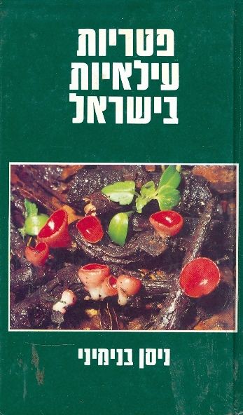 פטריות עילאיות בישראל