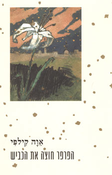 עטיפת הפרפר חוצה את הכביש