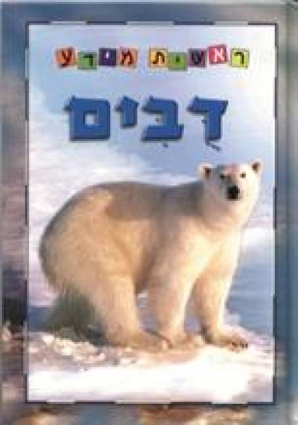 דובים: סדרת ראשית מידע