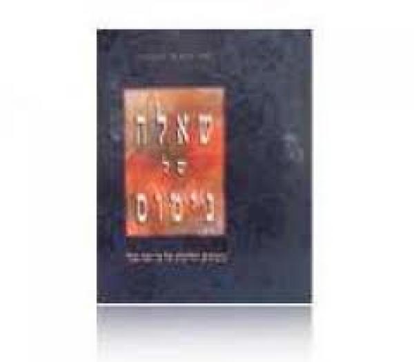 שאלה של נימוס 