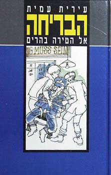 הבריחה אל הטירה בהרים