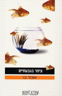 עטיפת צימר בגבעתיים