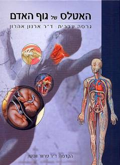 האטלס של גוף האדם