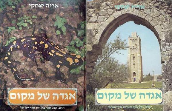עטיפת מבוטל