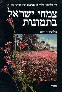 צמחי ישראל בתמונות