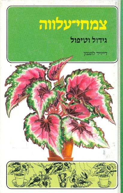 עטיפת צמחי עלווה גידול וטיפול