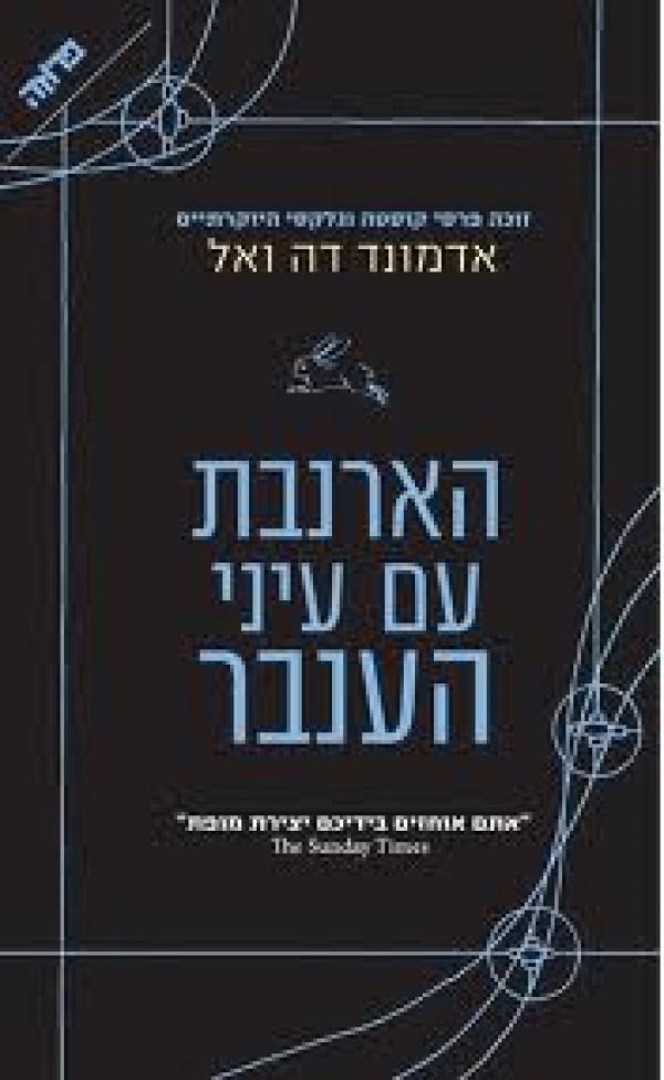 הארנבת עם עיני הענבר