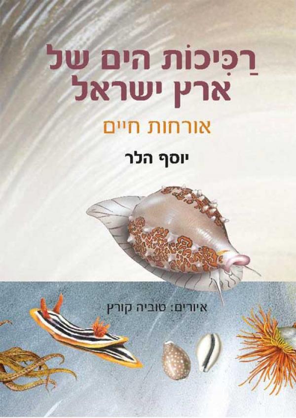 עטיפת רכיכות הים של ארץ ישראל