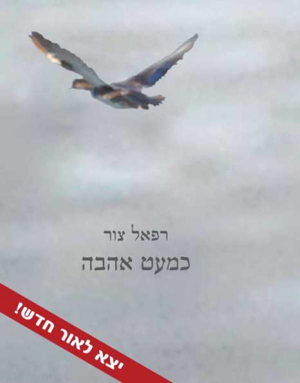 כמעט אהבה