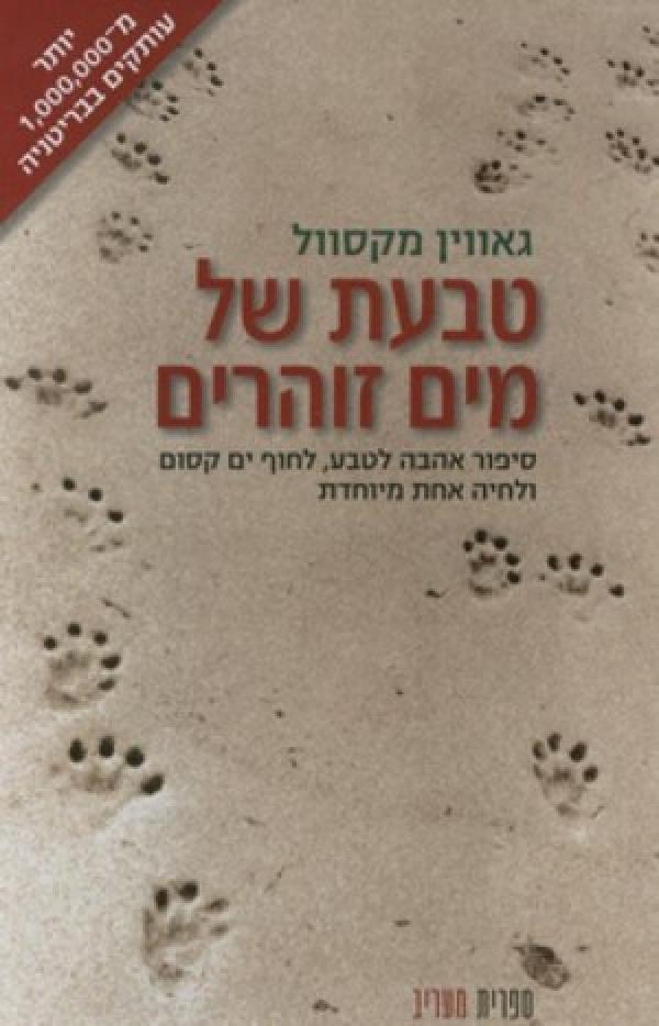 טבעת של מים זוהרים