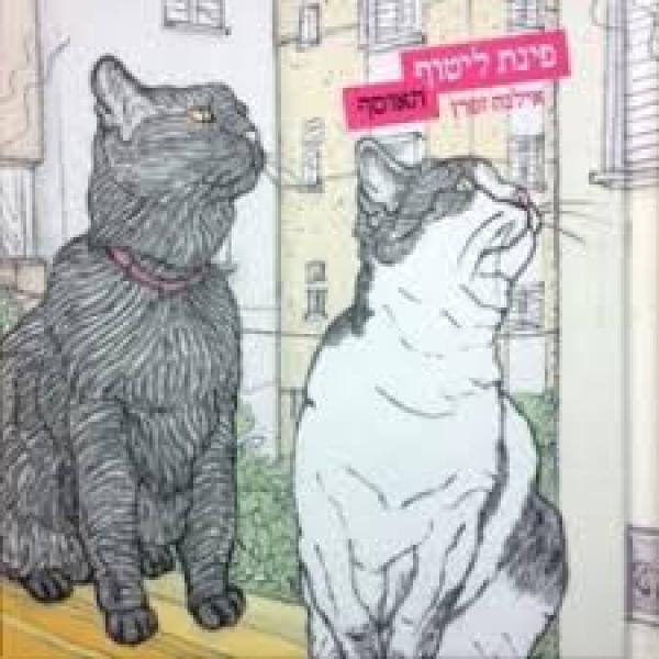 פינת ליטוף: האוסף