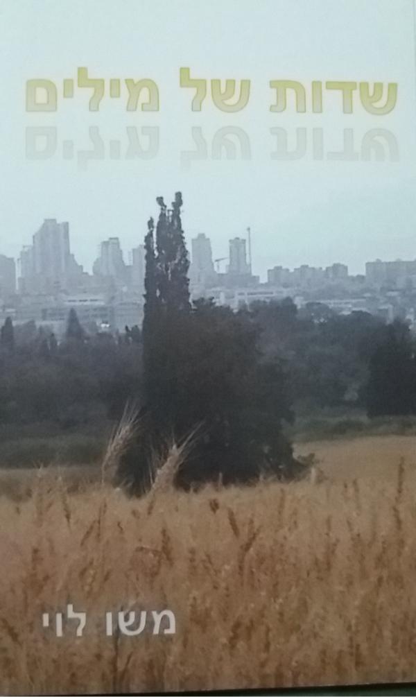 שדות של מילים