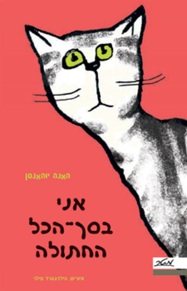 תמונה של חתולו 