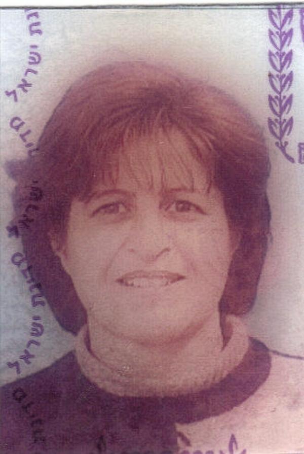 אביגיל