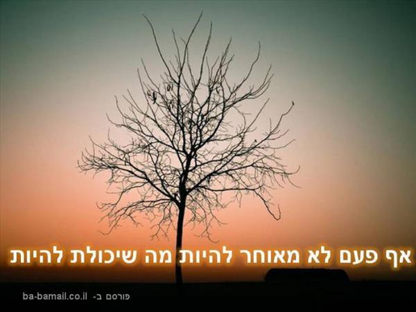 תמונה של שירה (: